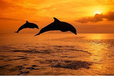 《秘馆疑踪2》2022年1月6日在Steam和Switch平台发售