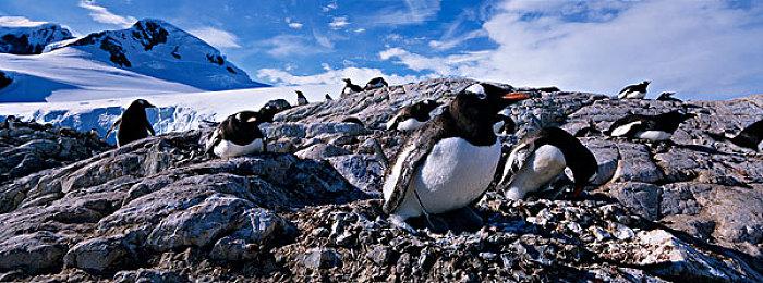 《糖豆人：终极淘汰赛》联动《瑞奇与叮当》 新皮肤登场